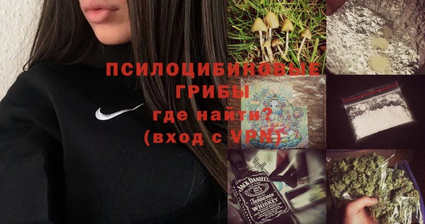 ПСИЛОЦИБИНОВЫЕ ГРИБЫ Навашино