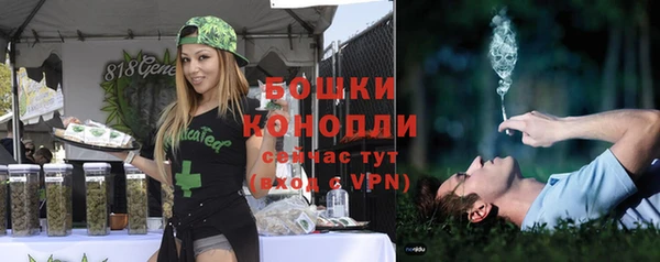 ПСИЛОЦИБИНОВЫЕ ГРИБЫ Навашино